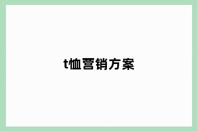 t恤营销方案