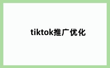 tiktok推广优化