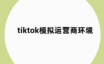 tiktok模拟运营商环境