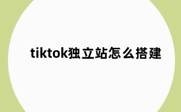 tiktok独立站怎么搭建