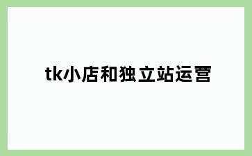 tk小店和独立站运营