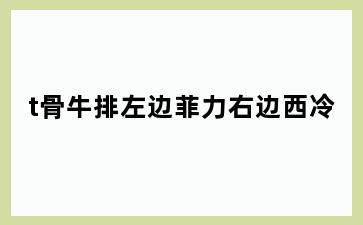 t骨牛排左边菲力右边西冷