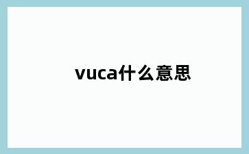 vuca什么意思