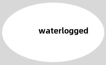 waterlogged