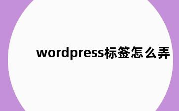 wordpress标签怎么弄