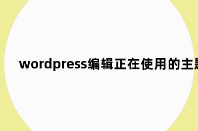 wordpress编辑正在使用的主题