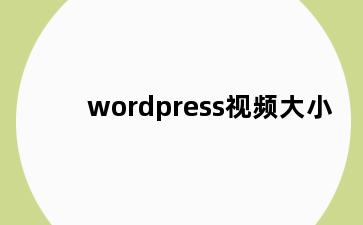 wordpress视频大小