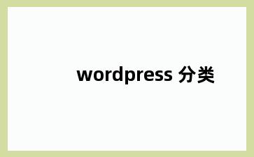 wordpress 分类