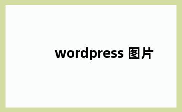 wordpress 图片