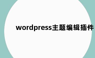 wordpress主题编辑插件