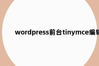 wordpress前台tinymce编辑器