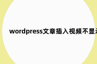 wordpress文章插入视频不显示