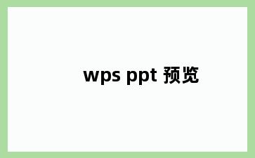 wps ppt 预览