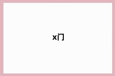 x门