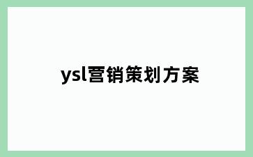 ysl营销策划方案