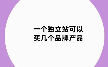 一个独立站可以买几个品牌产品