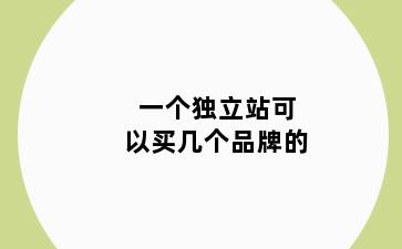 一个独立站可以买几个品牌的