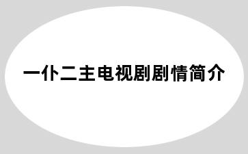 一仆二主电视剧剧情简介