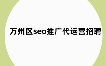 万州区seo推广代运营招聘