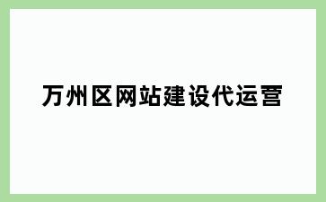 万州区网站建设代运营