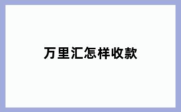 万里汇怎样收款