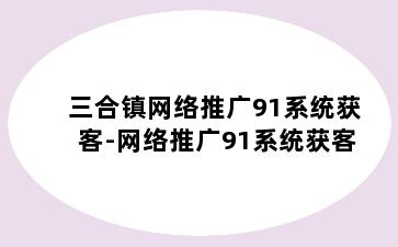 三合镇网络推广91系统获客-网络推广91系统获客