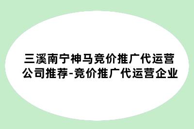 三溪南宁神马竞价推广代运营公司推荐-竞价推广代运营企业