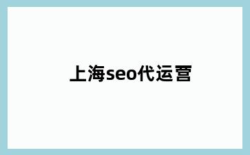 上海seo代运营