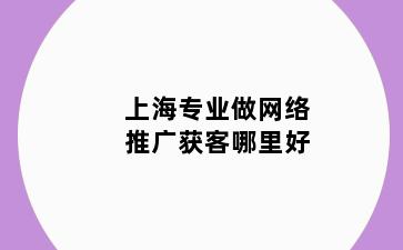 上海专业做网络推广获客哪里好
