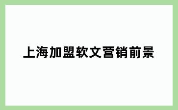 上海加盟软文营销前景