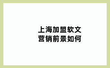 上海加盟软文营销前景如何