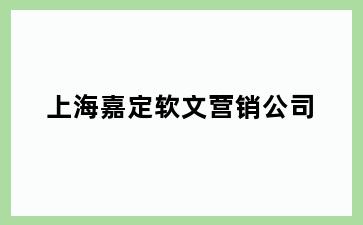 上海嘉定软文营销公司