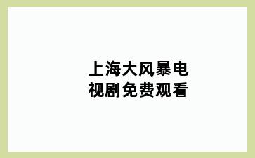 上海大风暴电视剧免费观看