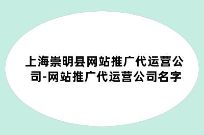 上海崇明县网站推广代运营公司-网站推广代运营公司名字