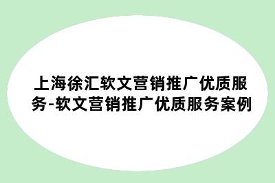 上海徐汇软文营销推广优质服务-软文营销推广优质服务案例