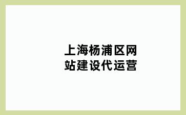 上海杨浦区网站建设代运营