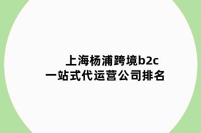 上海杨浦跨境b2c一站式代运营公司排名