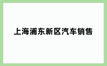 上海浦东新区汽车销售