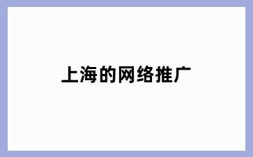上海的网络推广