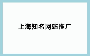 上海知名网站推广