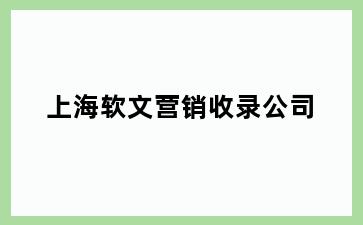 上海软文营销收录公司