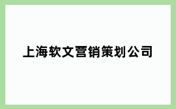 上海软文营销策划公司
