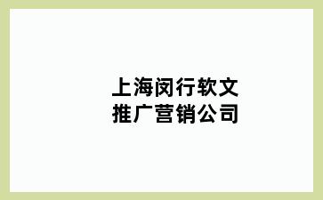 上海闵行软文推广营销公司