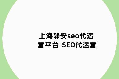 上海静安seo代运营平台-SEO代运营
