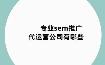 专业sem推广代运营公司有哪些