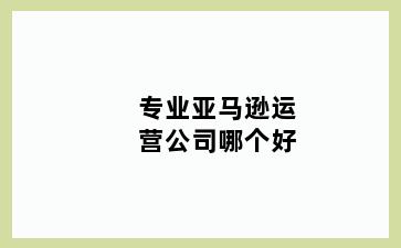 专业亚马逊运营公司哪个好