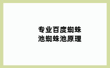 专业百度蜘蛛池蜘蛛池原理