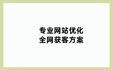 专业网站优化全网获客方案