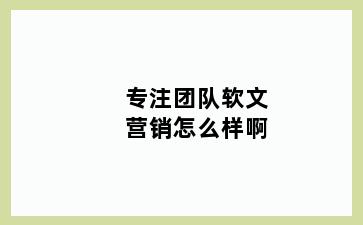 专注团队软文营销怎么样啊