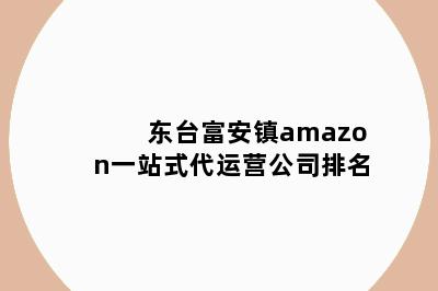 东台富安镇amazon一站式代运营公司排名